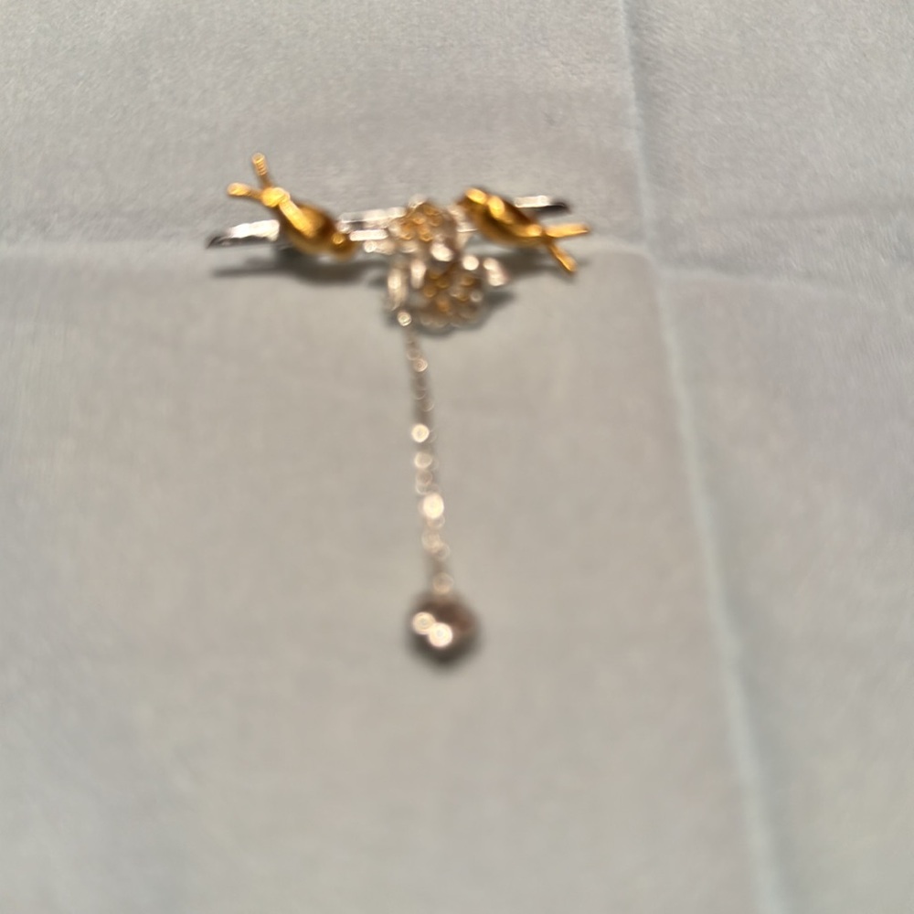 NWT Korean Brooch